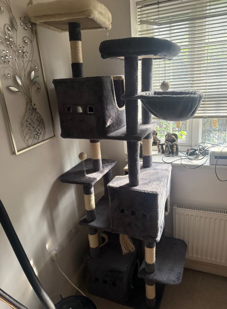 Grey cat tree around 6ft tall 