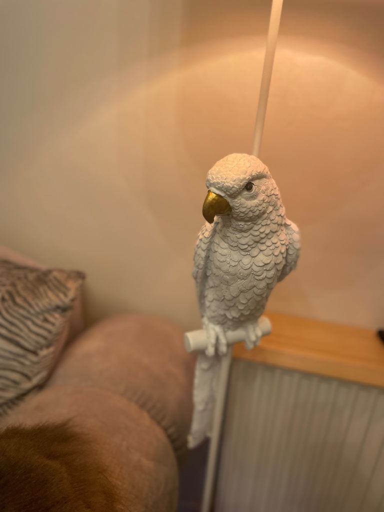 Stunning parrot floor lamp 