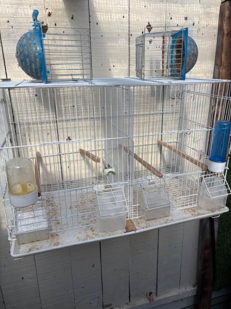 Double breeding cage 