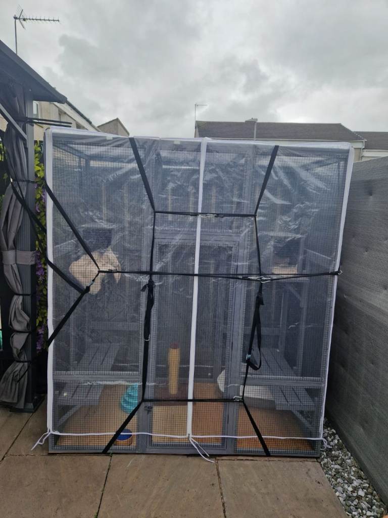 Large catio