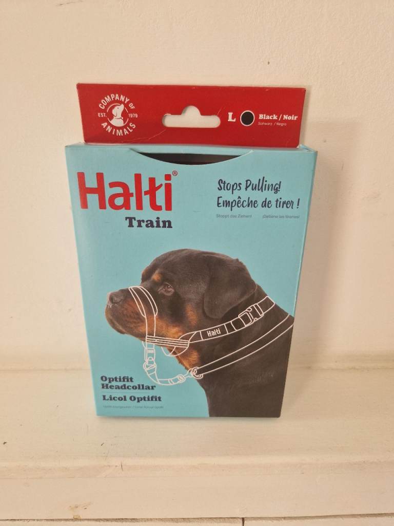Large black halti to stop a dog pulling