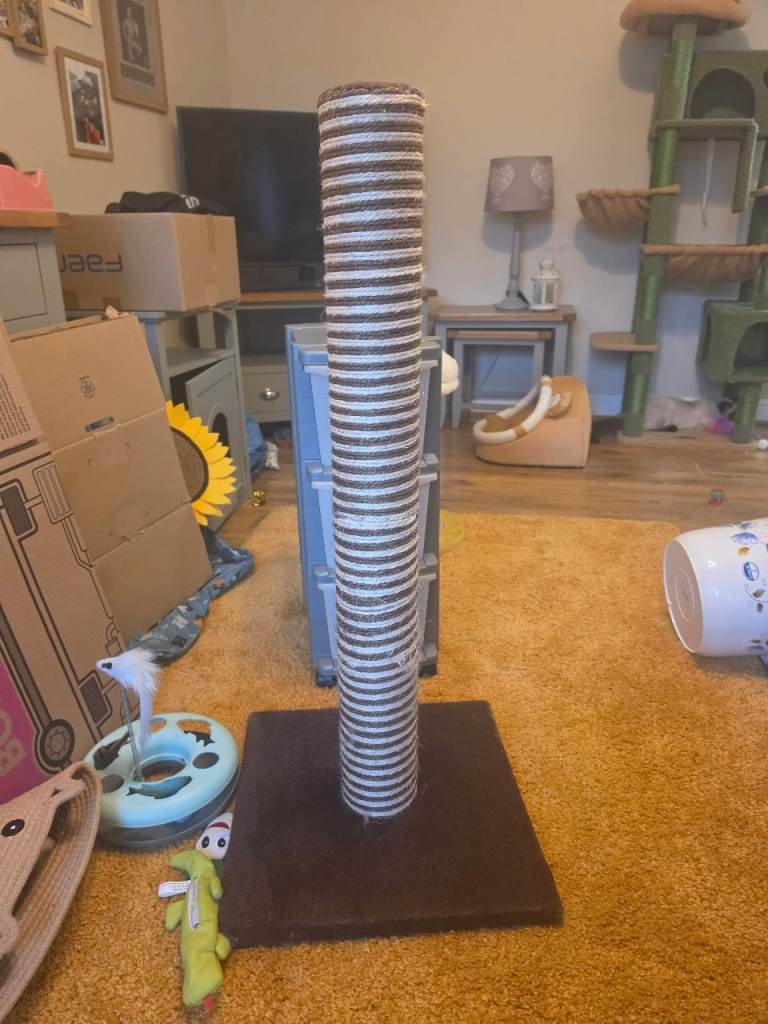 Large cat scratching post