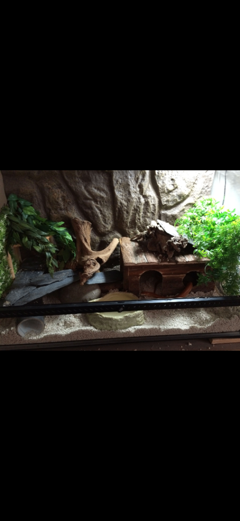 Exo Terror Large Terrarium 