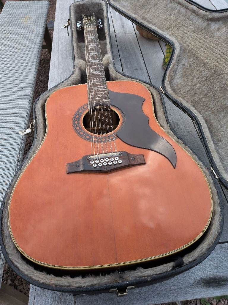 Eco ranger 12 string