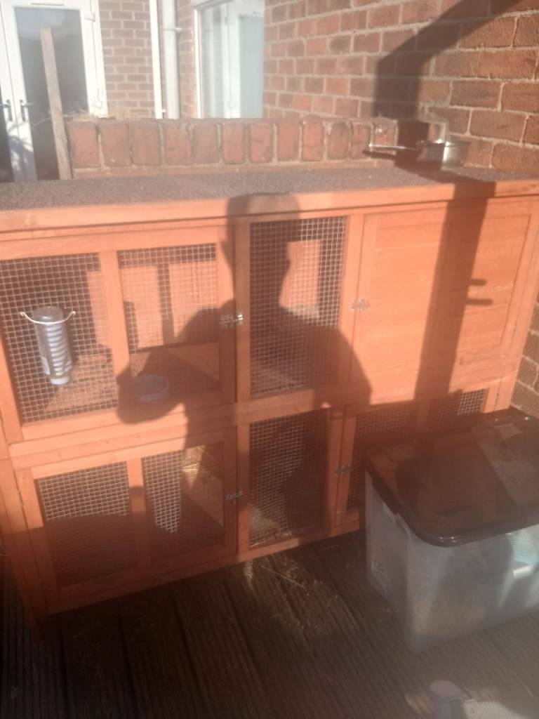 Rabbit hutch and plastic box 