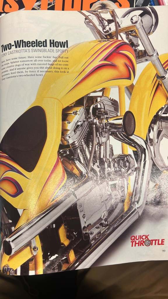 Harley Davidson Sporty Swingback Custom