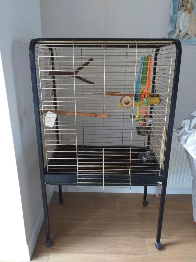 Parrot Cage