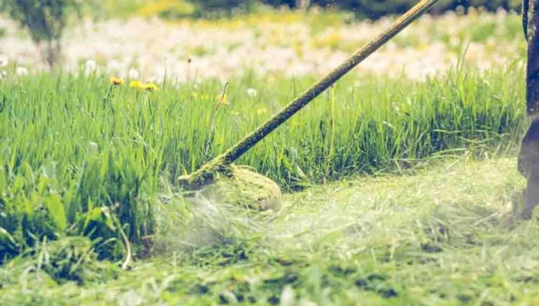 Wanted- Cut grass around Swindon