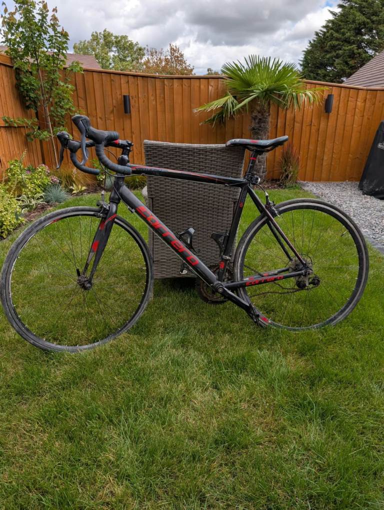 Carrera Road Bike – Black with Red Accents, Good Condition