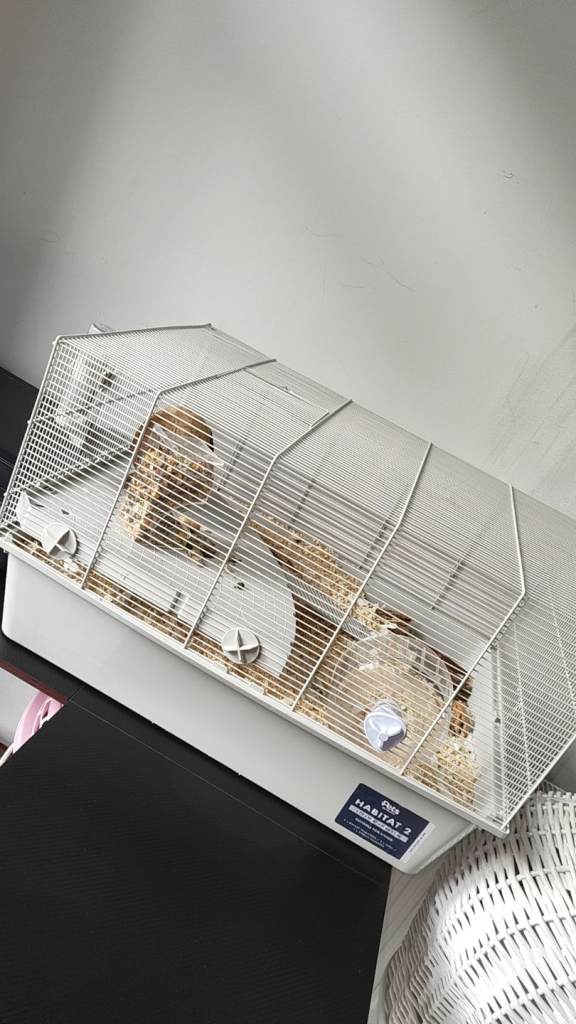 Hamster cage 