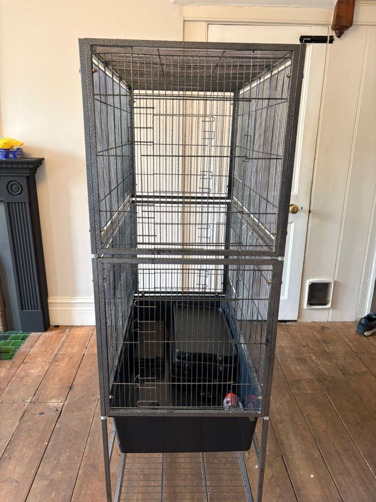 Rat cage