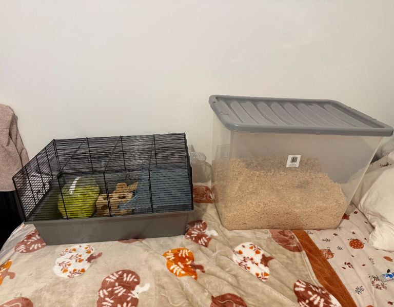 pet cage & accessories 