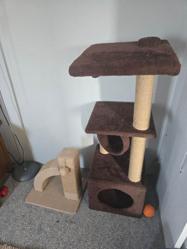 Cat Climbing Tree and Scratching Post