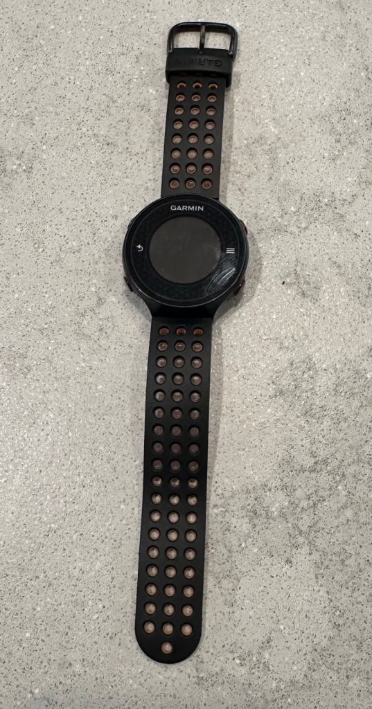 Garmin Approach S6 Golf Watch