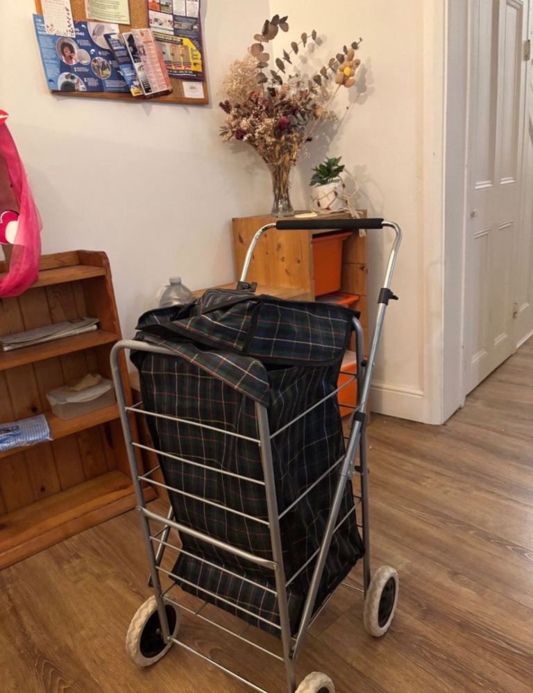 Metallic four wheeler shopping trolley