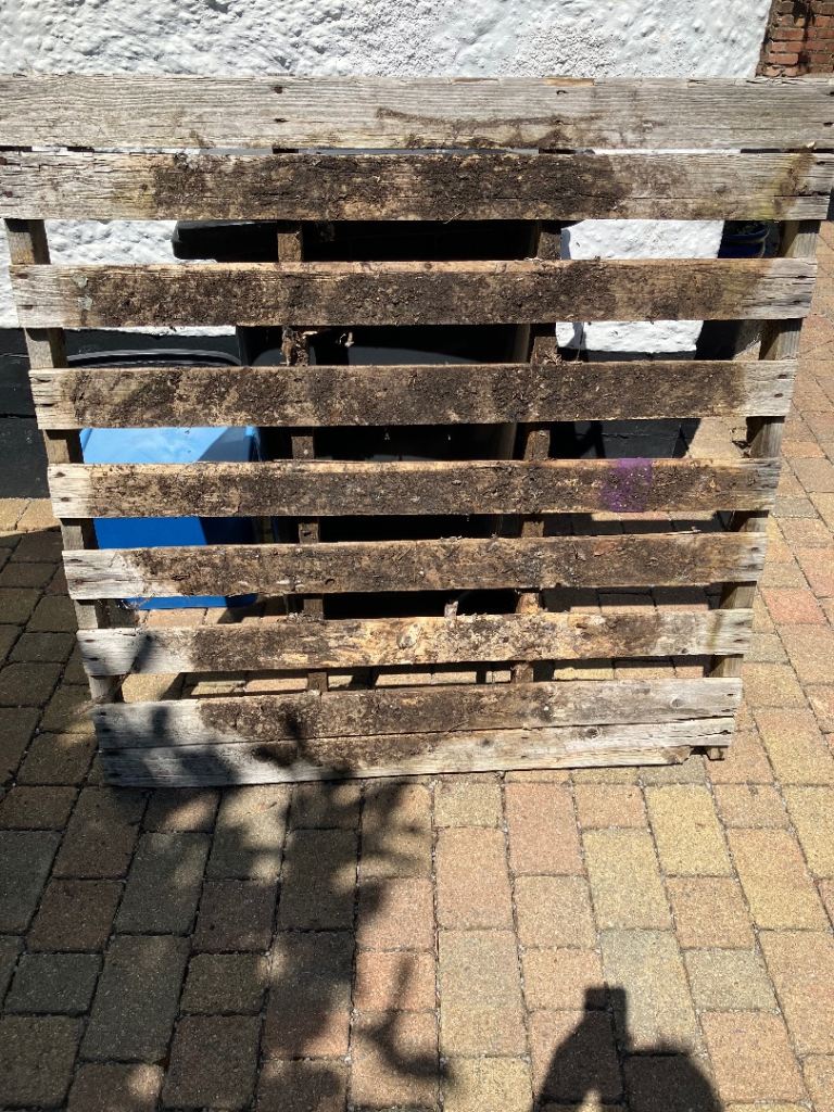 Free Pallet