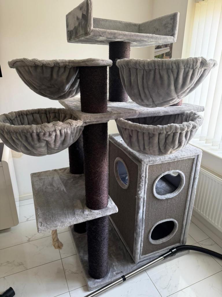 Cat trees 