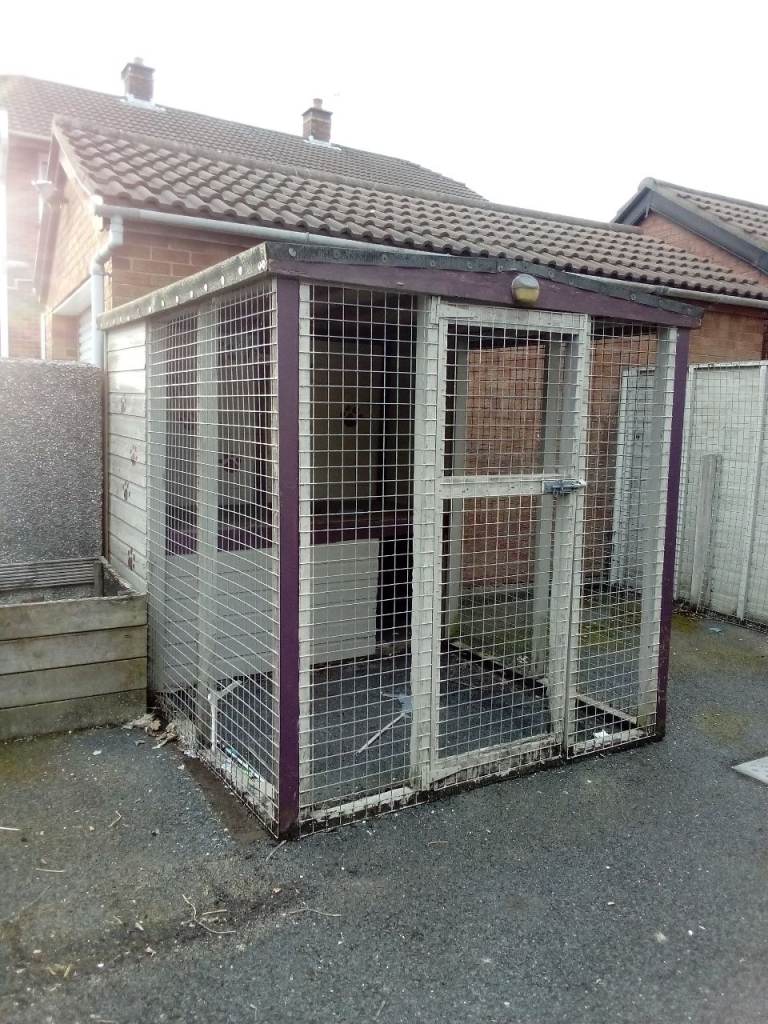 Dog run/pen and kennel