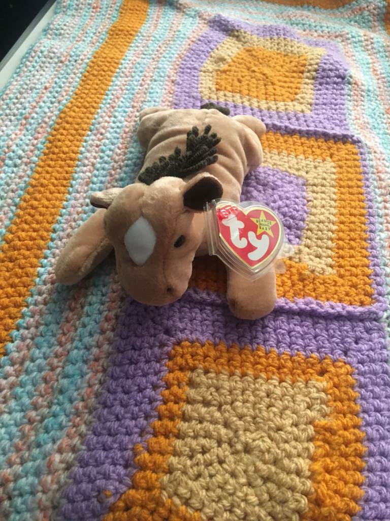 mint new   Rare Ty Beanie Baby “Derby The Horse” 1995 Retired P.V.C Pellets W/Tags Errors