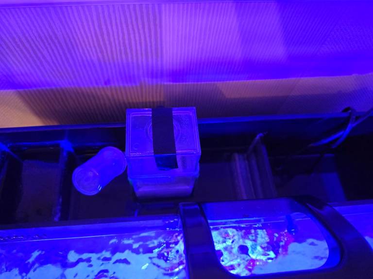 90 litre marine fish tank 