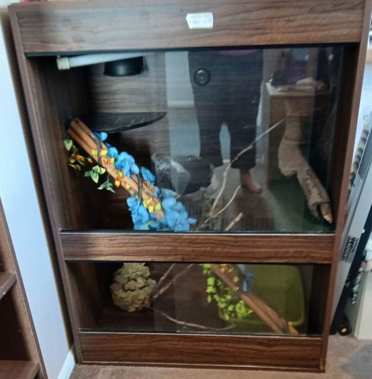 Reptile vivarium and accessories bundle