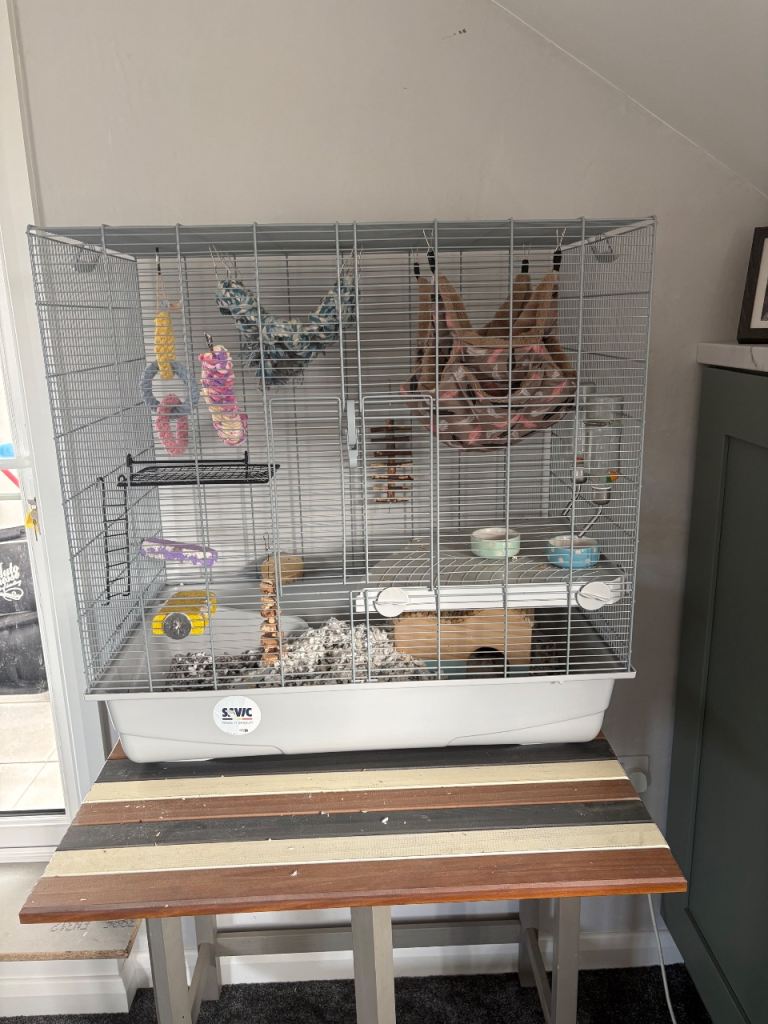 Rat Cage
