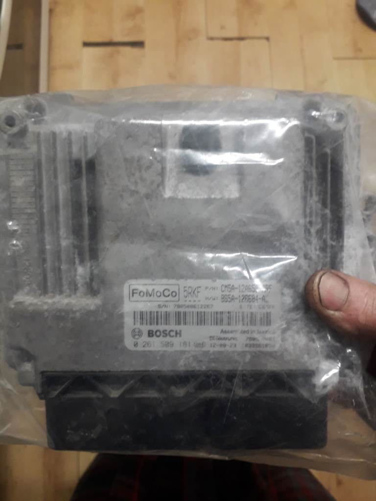 Mountune remapped Ford ecu 