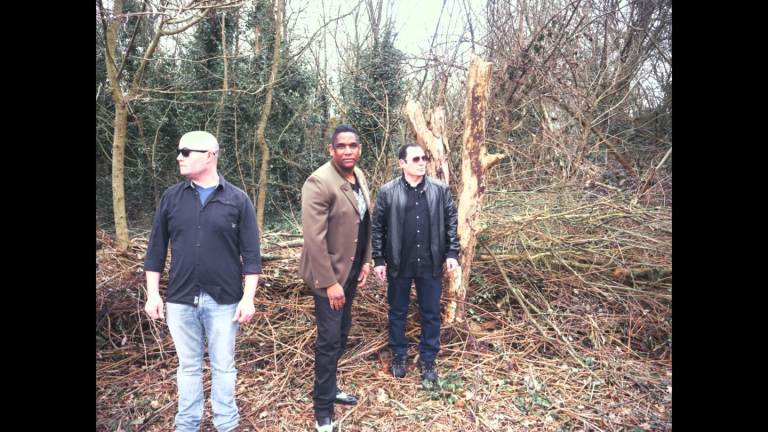 BASS PLAYER WANTED 4 TOURING BAND ROCK POP REGGAE SOUL BLUES COVERS & ORIGINALS