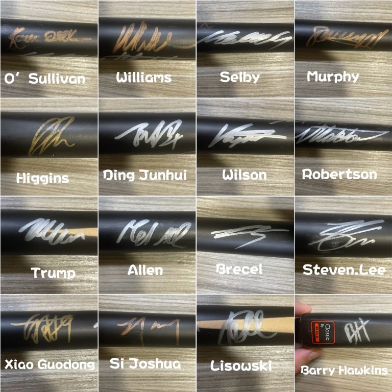 Snooker Cue Signed by 16 Professional Players – Rare Collectible