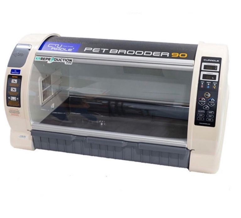 Pet brooder 90 incubator 