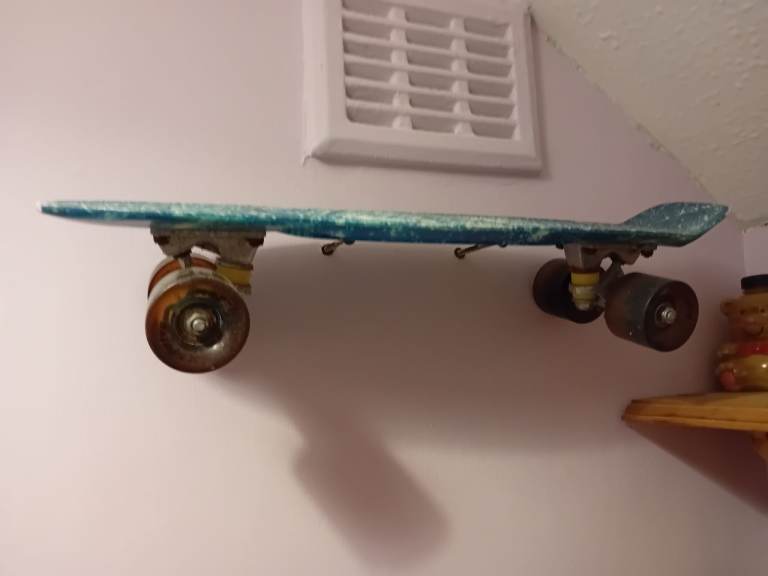 Vintage retro skateboard penny board