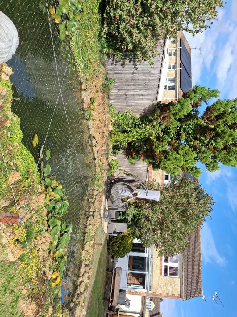 aprox 200 koi and other cold water fish, filter system, pond pumps, 3ft air stone and heron netting 