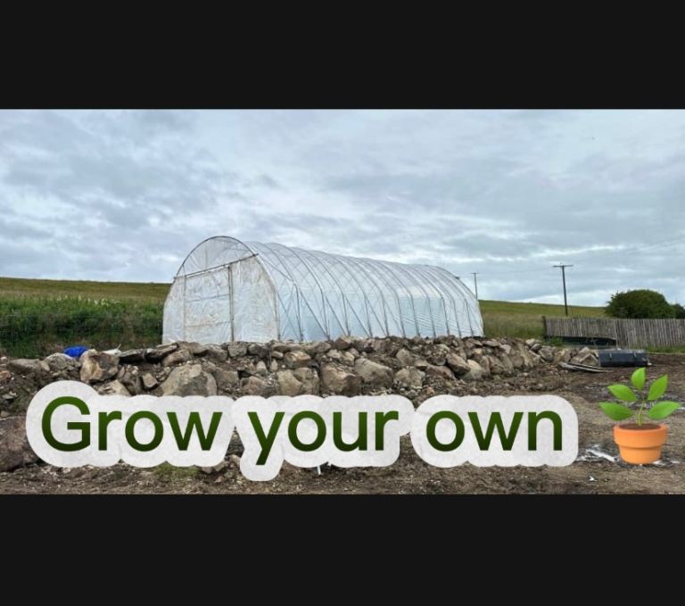 Polytunnel, animal shelter, wood store, cheap shed