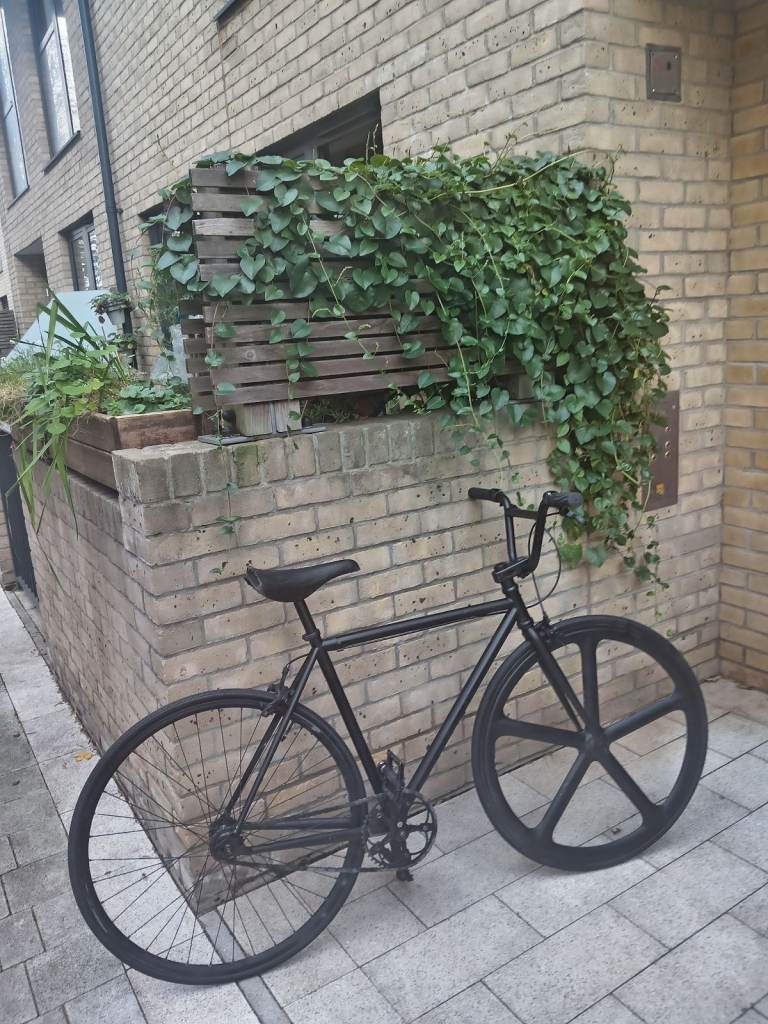image for Bike for sale 