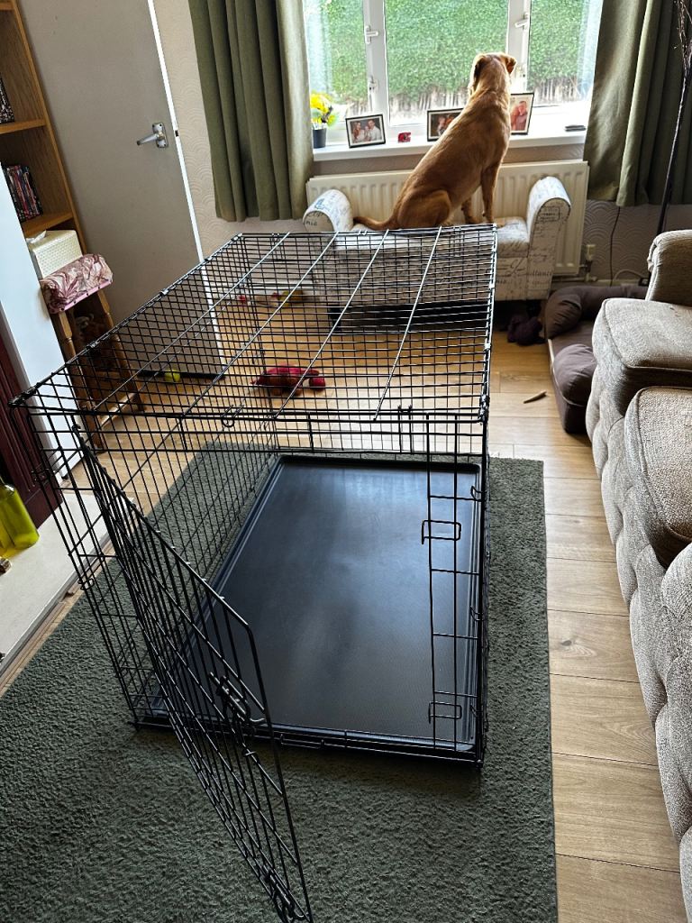 Large dog crate