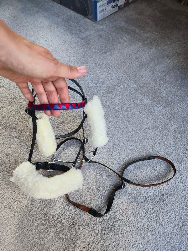 Le Mieux Hobby Horse Racing Bridle