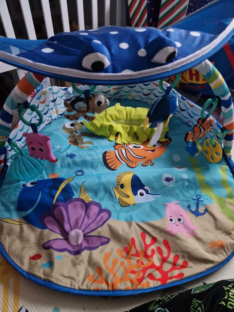 Finding Nemo play gym 