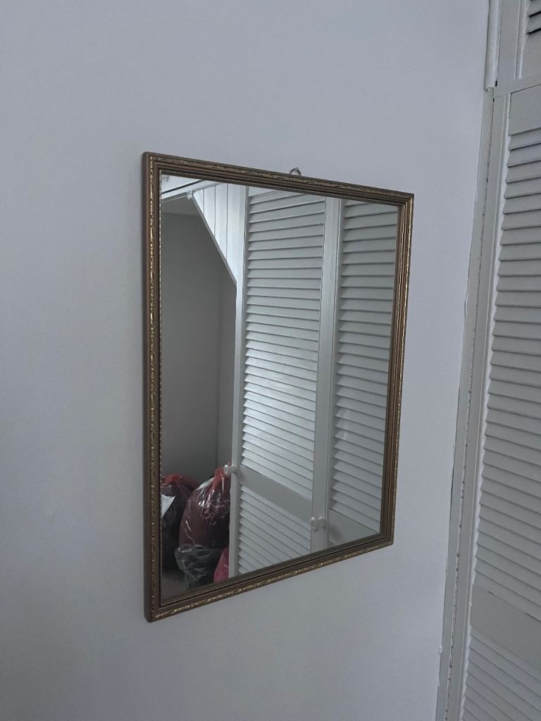 Gold rimmed mirror 