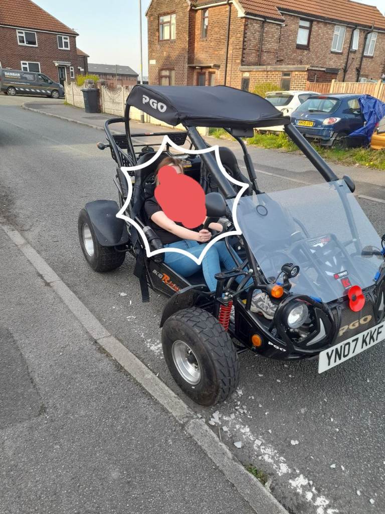 Quadzilla 250e buggy