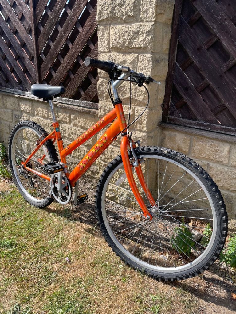 Mountain bike 