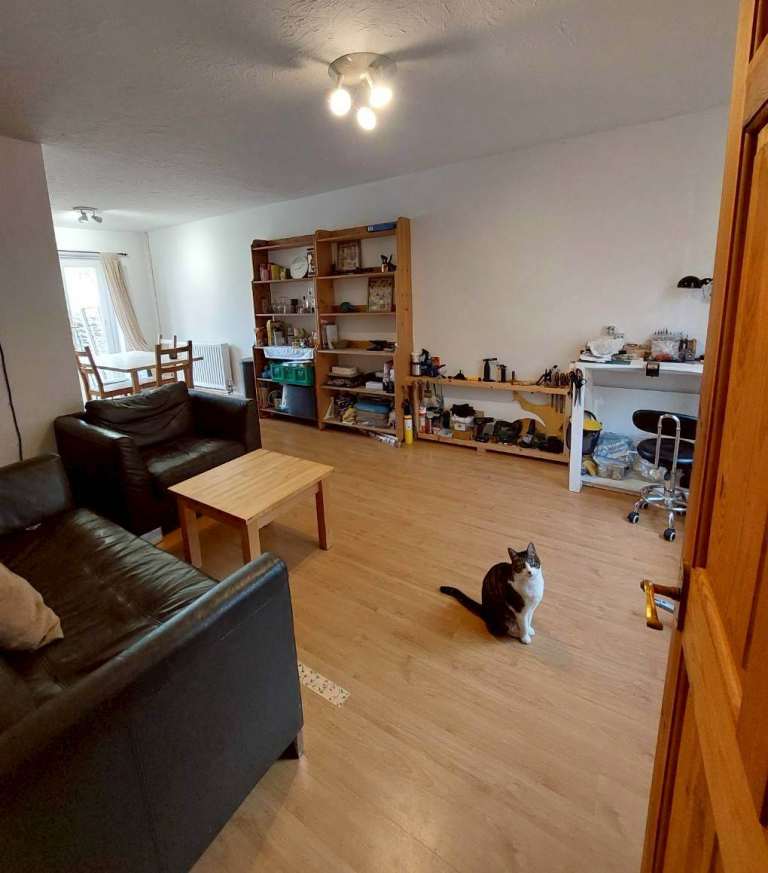 3B2B 3 floor Garden House in Canada Water/ Rotherhithe (zone 2) [Available from Feb 2026]