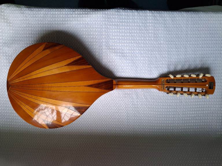 Mandriola or 12-string Mandolin