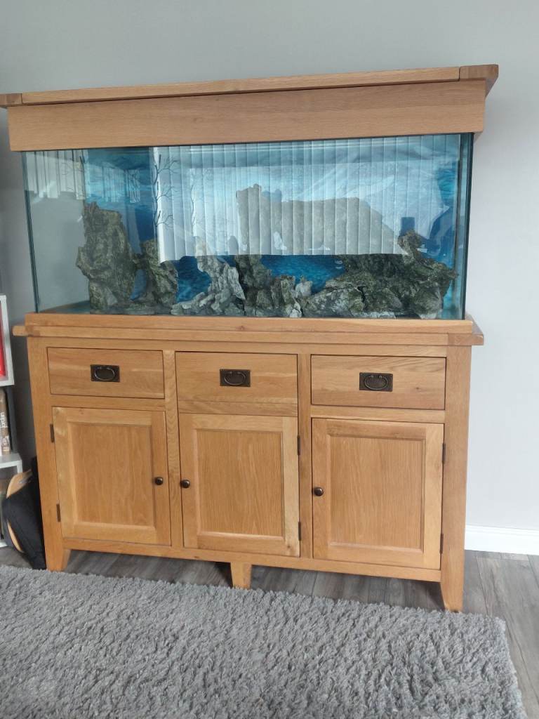 Fish tank and accessories 