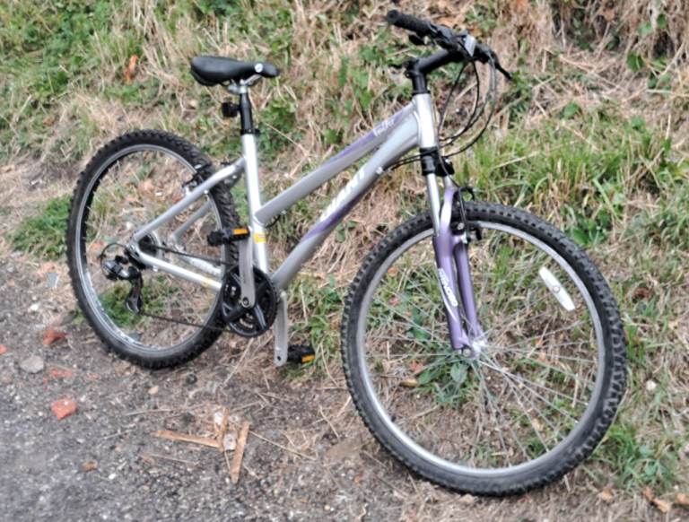 Giant Boulder aluminium frame bike 