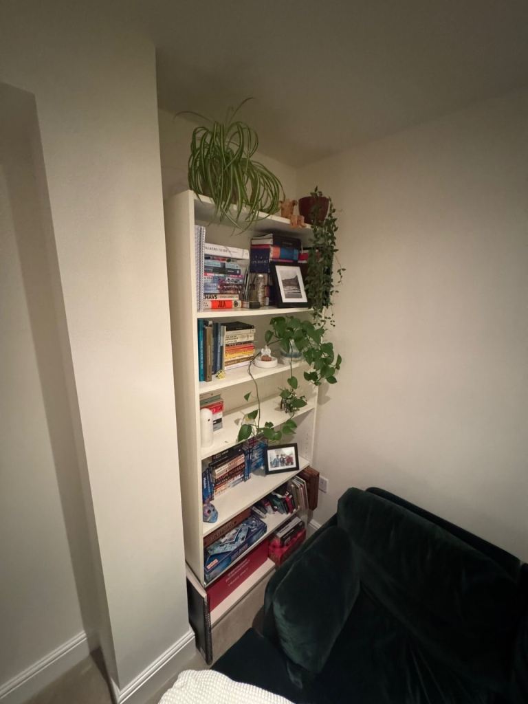IKEA bookshelf 