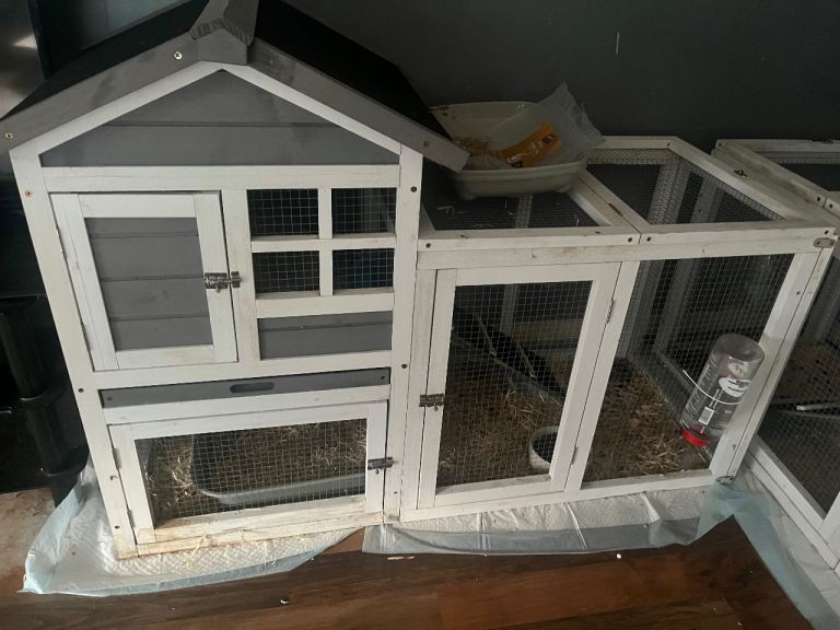 Rabbit hut