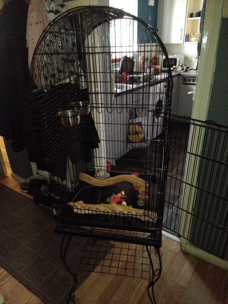 Bird cage