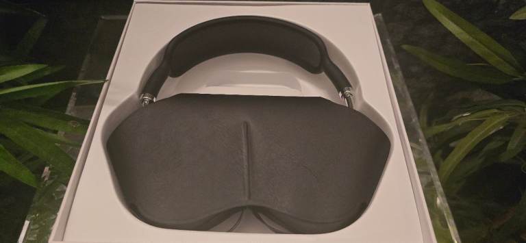 Apple headphones max