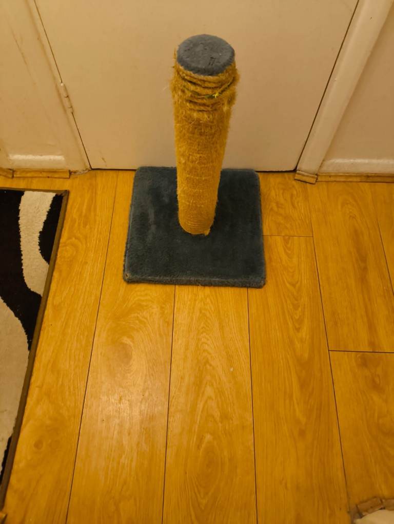 Car Scratching Post