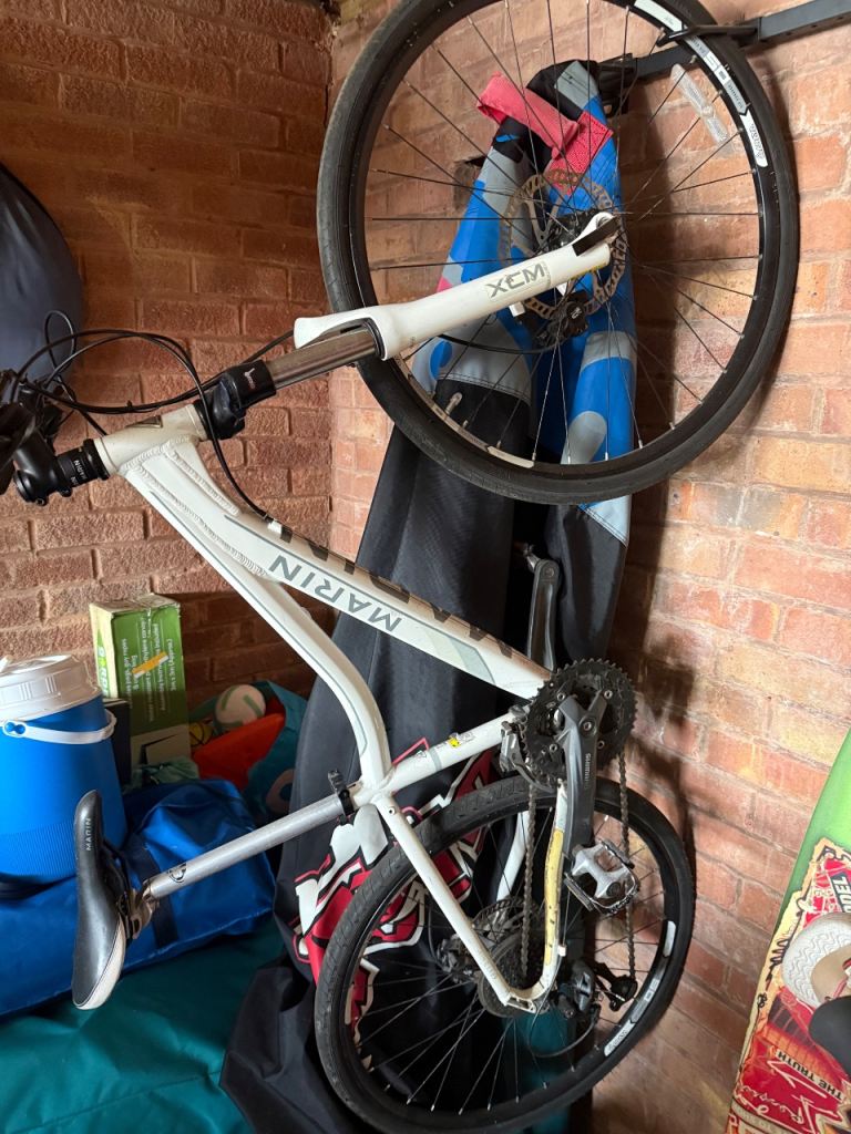 Marin mountain bike